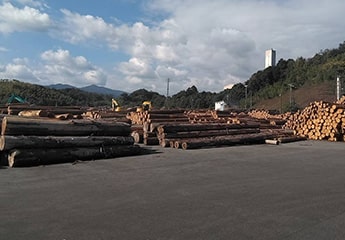  松坂にある「グリーンウッドタクミ」様へ木材加工の見学にいきました。