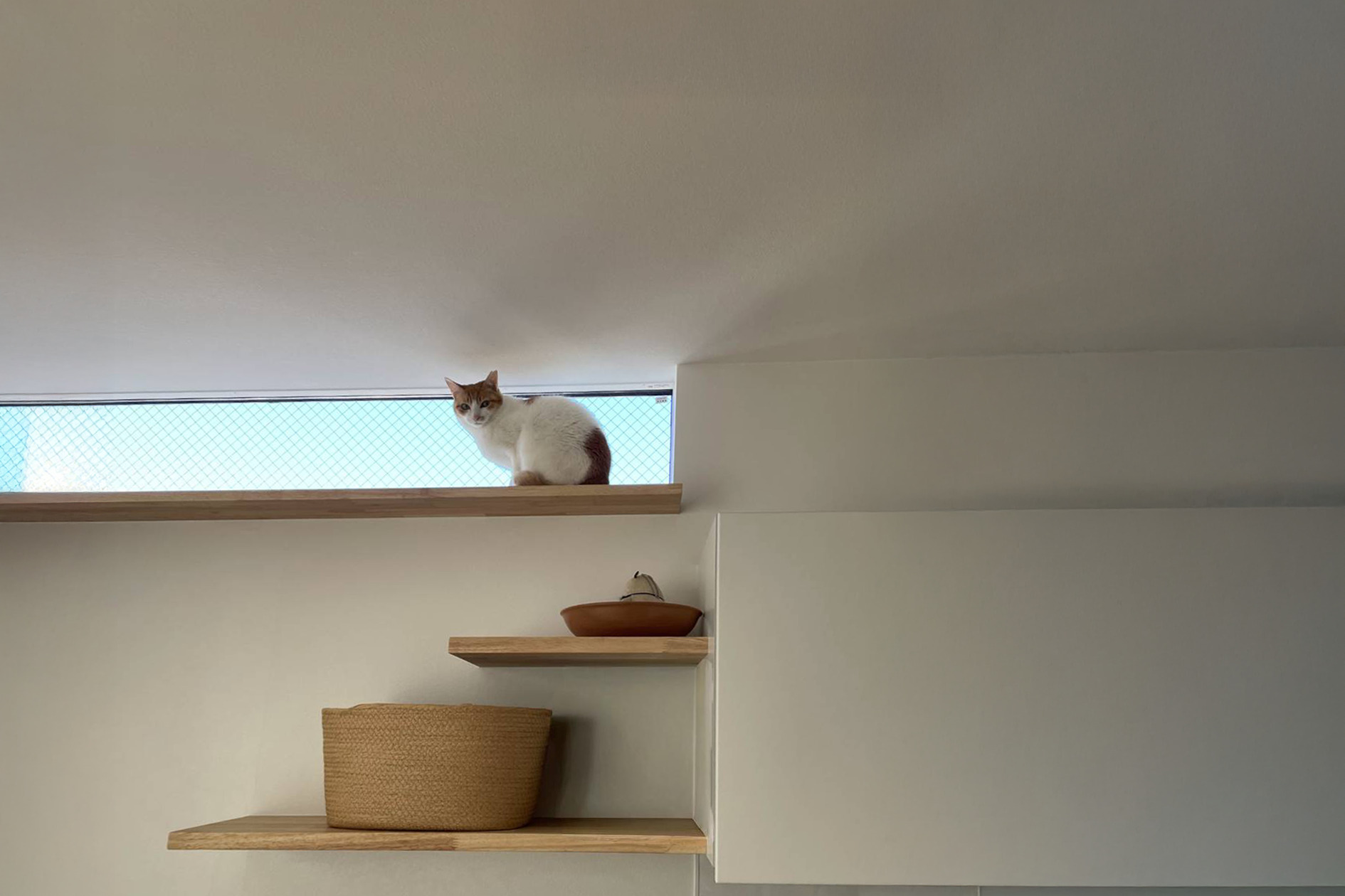 土地２５坪に快適を詰め込んだ愛猫と暮らす家